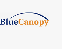 Blue Canopy