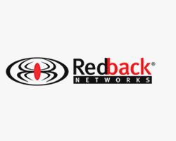 Redback-large-gray
